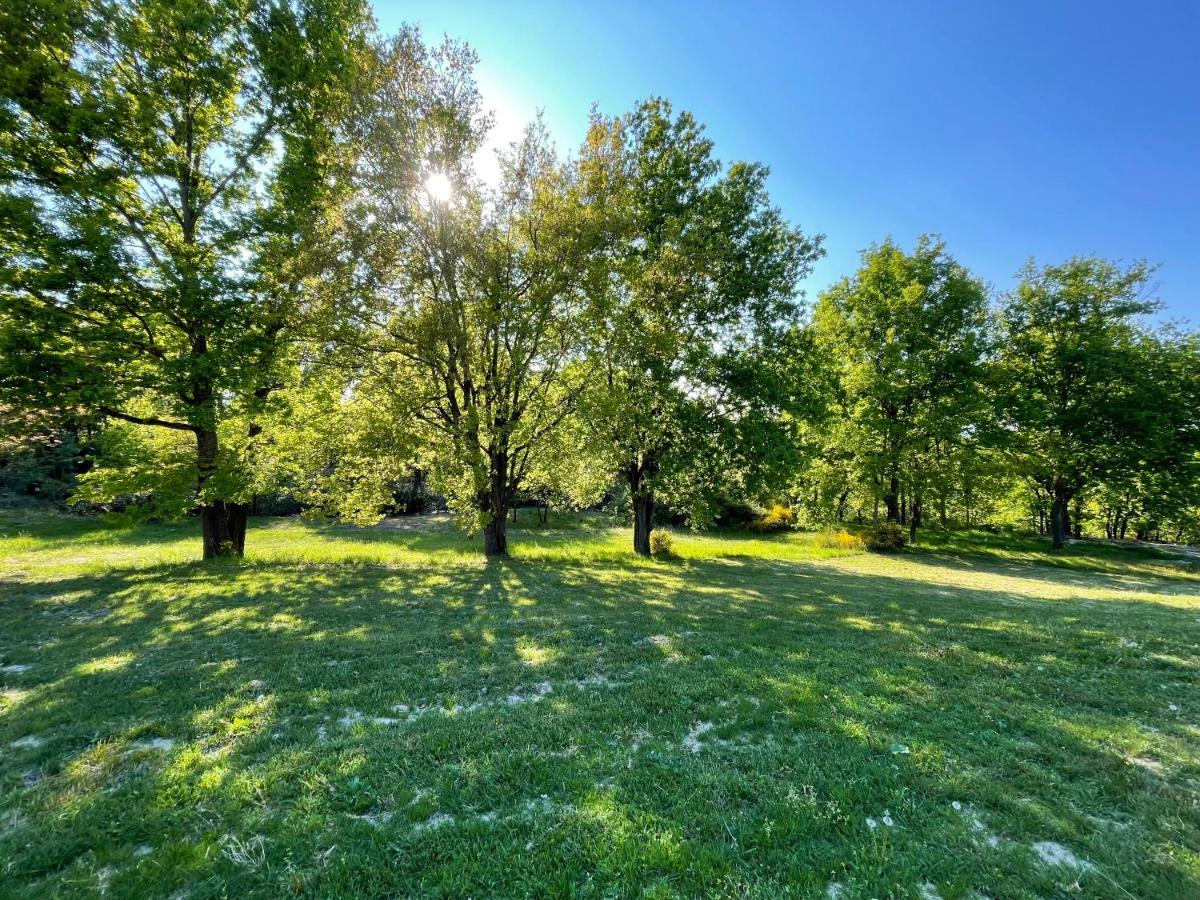 La Villa Perroquet Poncins Exteriör bild